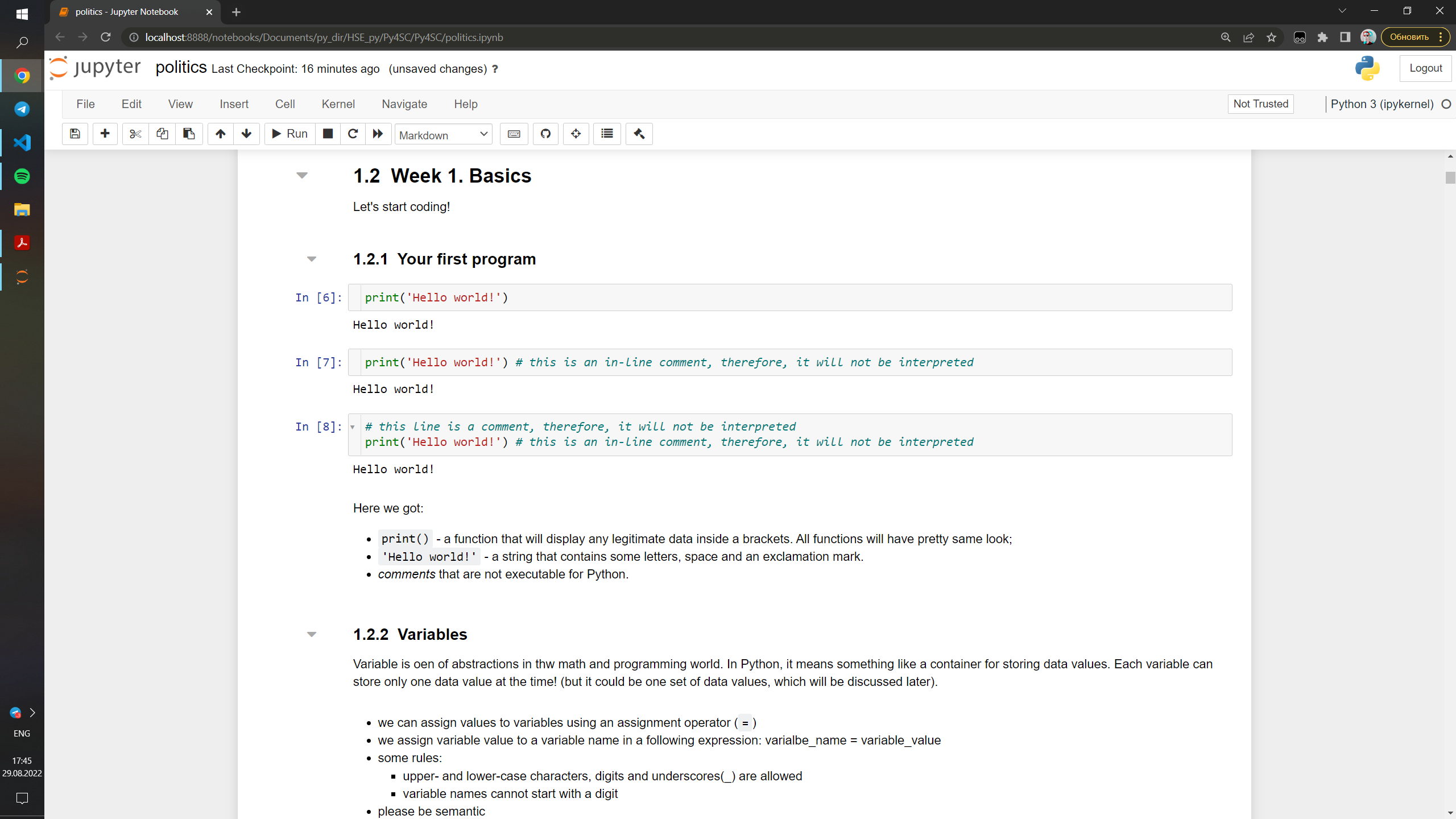 jupyter notebook view