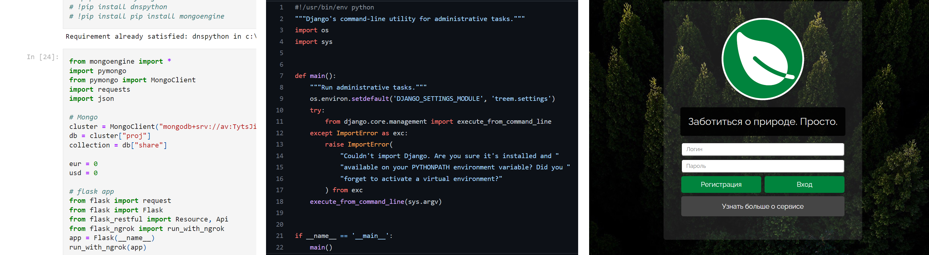 an example of web applications in python